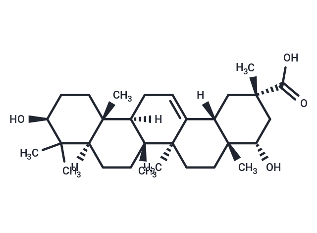 Triptotriterpenic acid A Chemical Structure