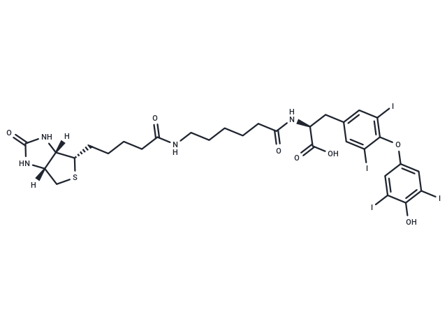 Biotin-hexanamide-(L-Thyroxine) Chemical Structure