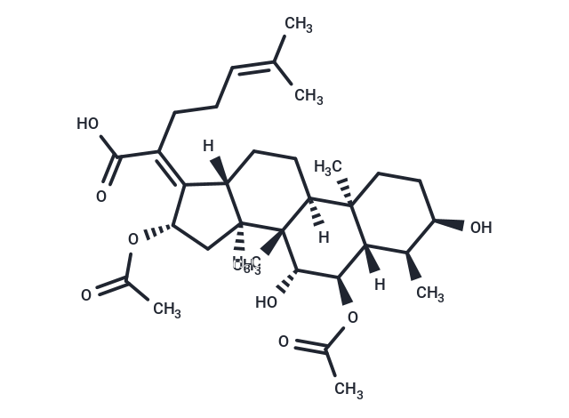 Cephalosporin P1 Chemical Structure