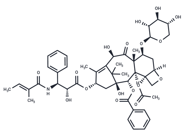 7-Xylosyl-10-deacetyltaxol B Chemical Structure