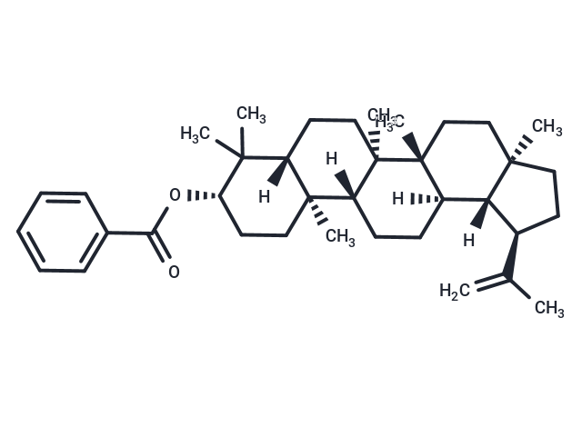 Lupeol benzoate Chemical Structure