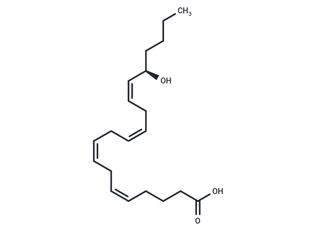16(R)-HETE Chemical Structure