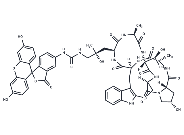 Phalloidin-FITC Chemical Structure