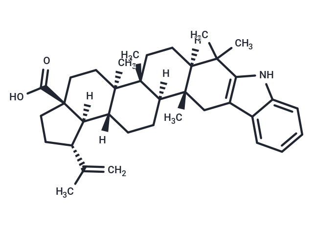 2,3-Indolobetulonic Acid Chemical Structure