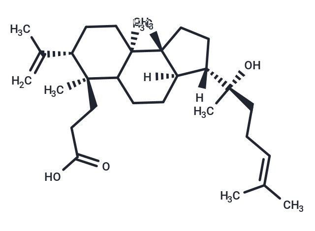 Dammarenolic acid Chemical Structure