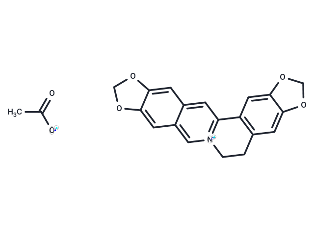 Pseudocoptisine acetate Chemical Structure