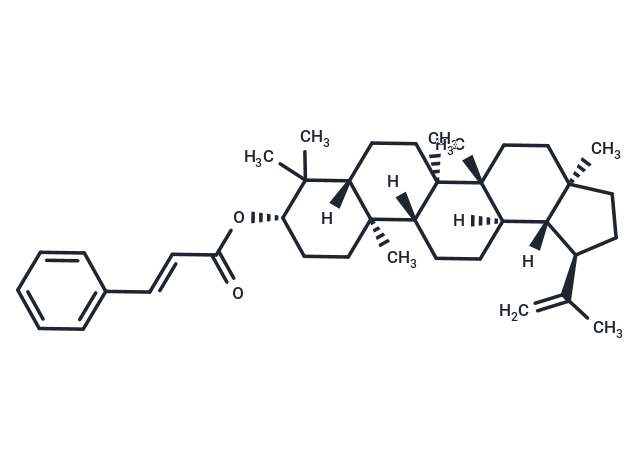 Lupeol trans-cinnamate Chemical Structure