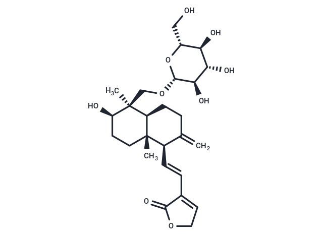14-Deoxy-11,12-didehydroandrographiside Chemical Structure