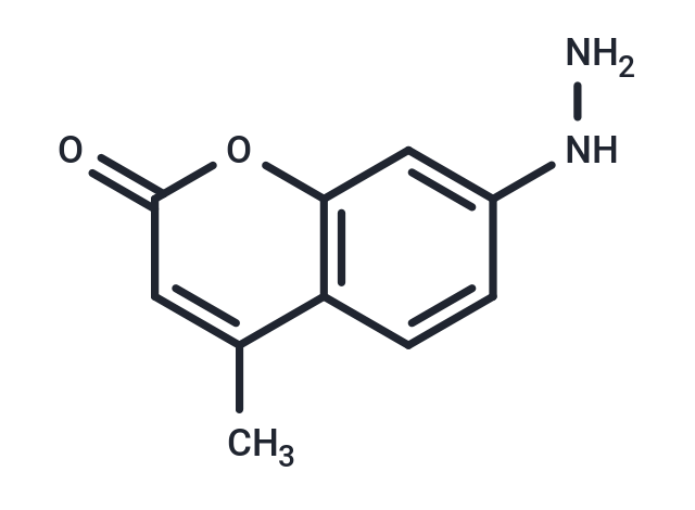 Coumarin hydrazine