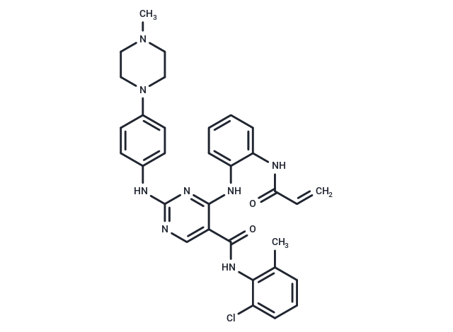 DGY-06-116