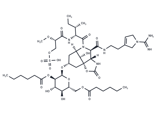 Suomilide