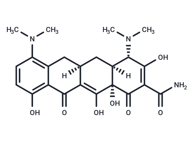 Minocycline