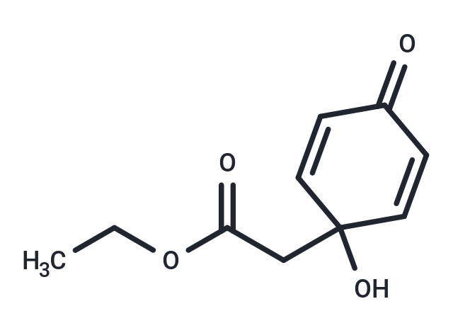 JP-2