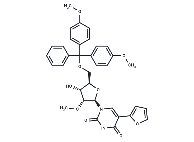 5-Furan-2-yl-2'-O-methyl-5'-O-DMT-uridine
