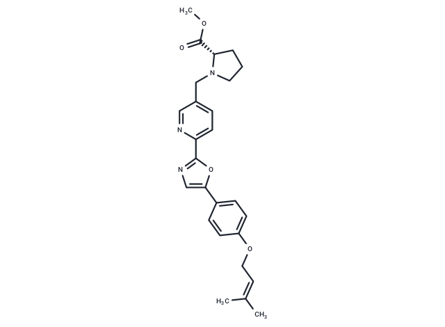 CIDD-0067106