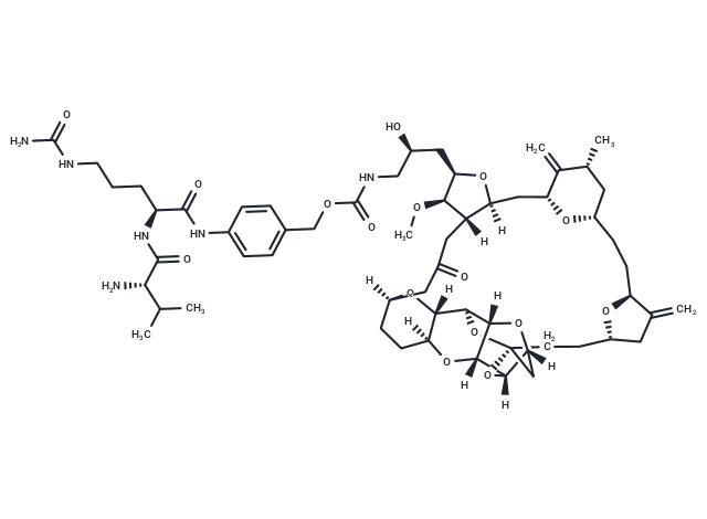 VCP-Eribulin