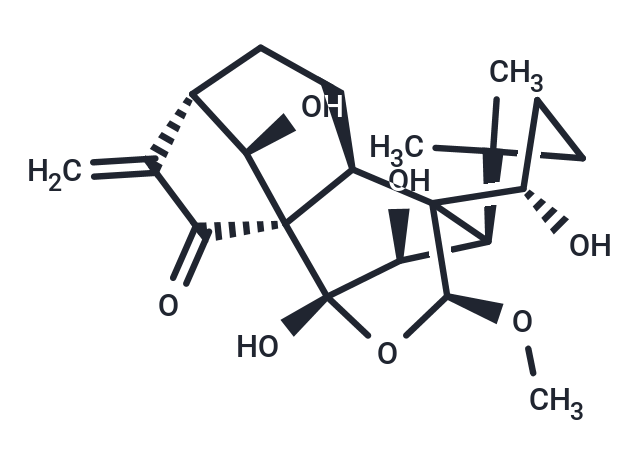 Rabdoternin F