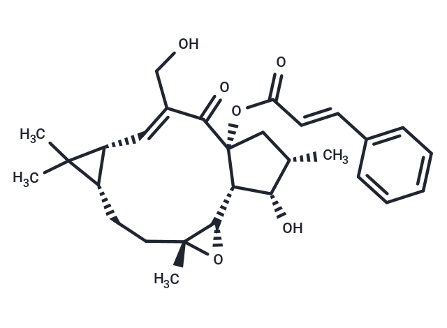 Jolkinol A