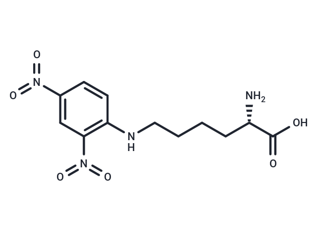epsilon-Dinitrophenyllysine [1094-76-4] [1094-76-4]