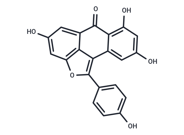 Diptoindonesin G