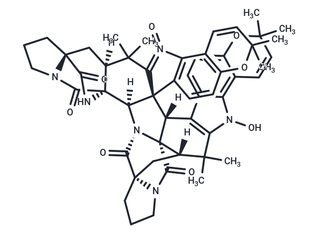 Stephacidin B
