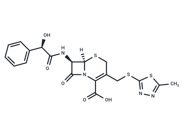 Cefcanel free acid