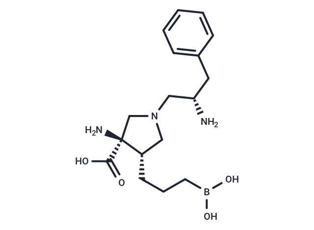 NED-3238
