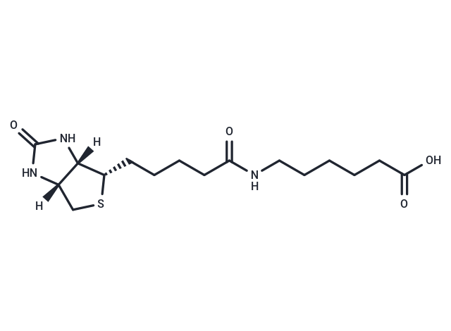 N-Biotinyl-6-aminohexanoic acid [72040-64-3]