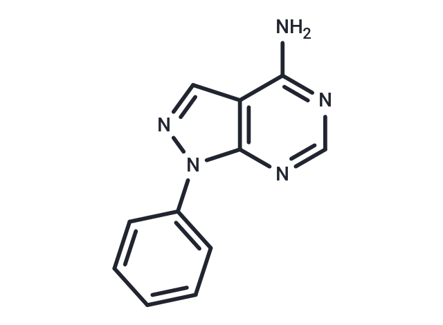 PP 3