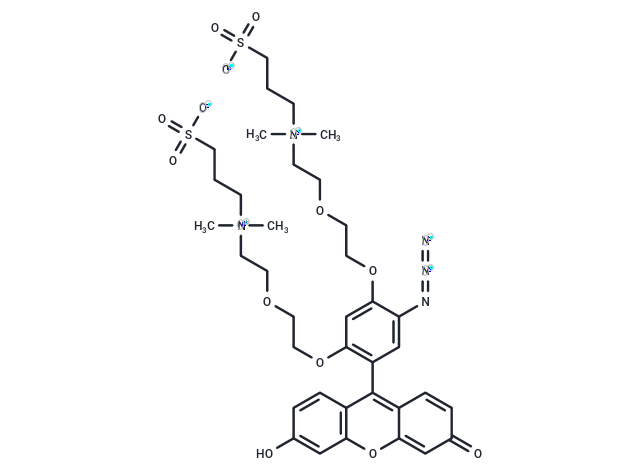 CalFluor 488 Azide