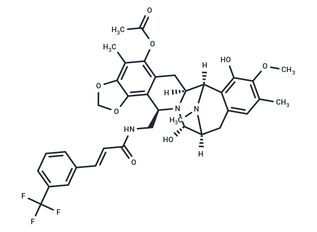 Zalypsis
