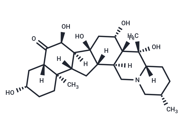 Pingpeimine C