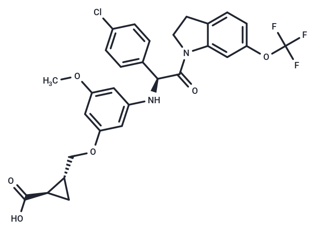 DENV-IN-2