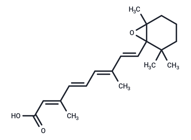 all-trans-5,6-epoxy Retinoic Acid