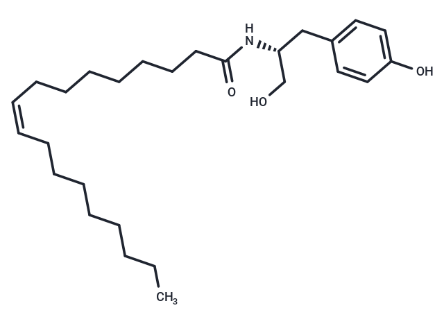 OMDM-2
