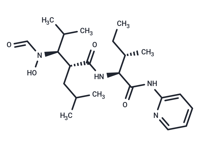 GW-3333 [212609-68-2]