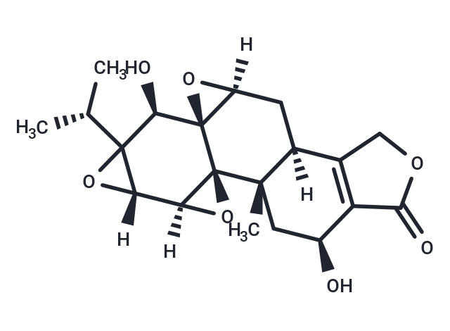 Tripdiolide