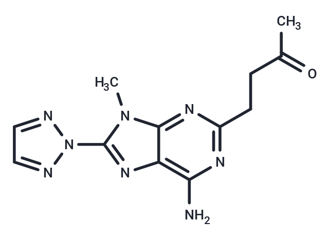 ST4206