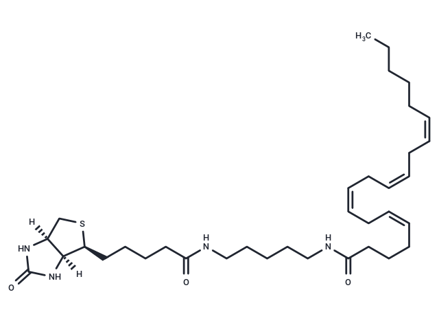 Arachidonic Acid-biotin [1217901-28-4]