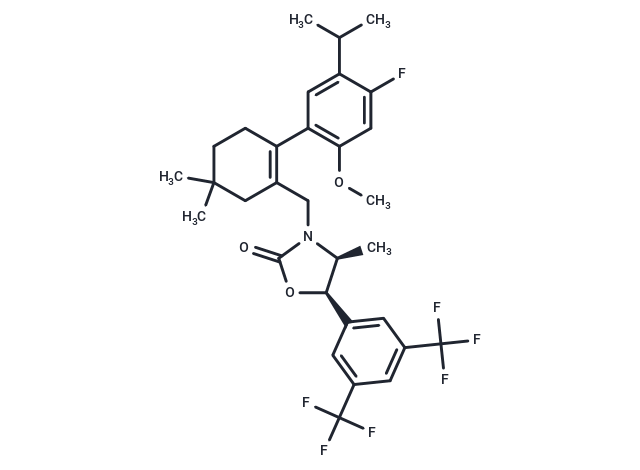 CKD-519