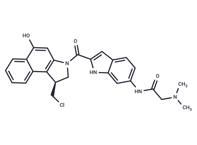 Duocarmycin GA [1613286-59-1]