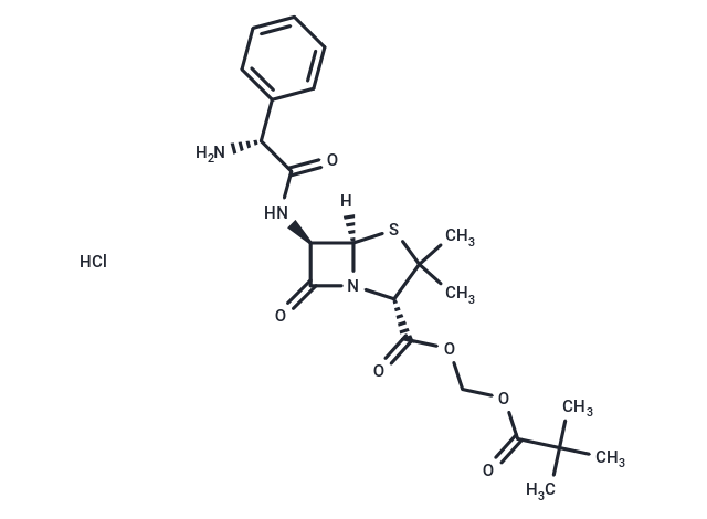 Pivampicillin Hydrochloride [26309-95-5]