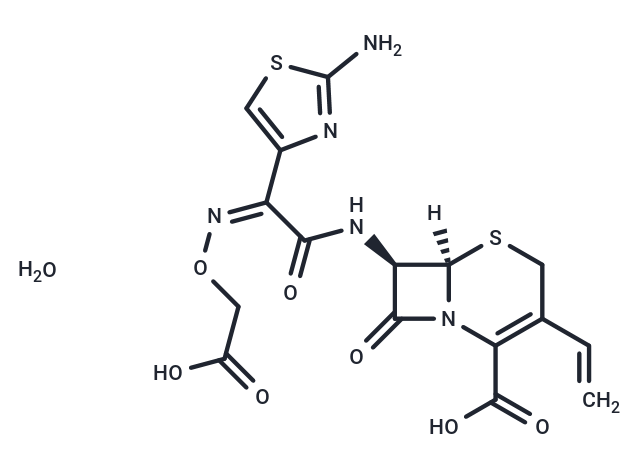Cefixime trihydrate