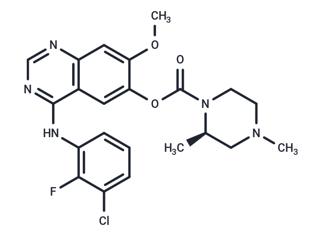 Zorifertinib [1626387-80-1]