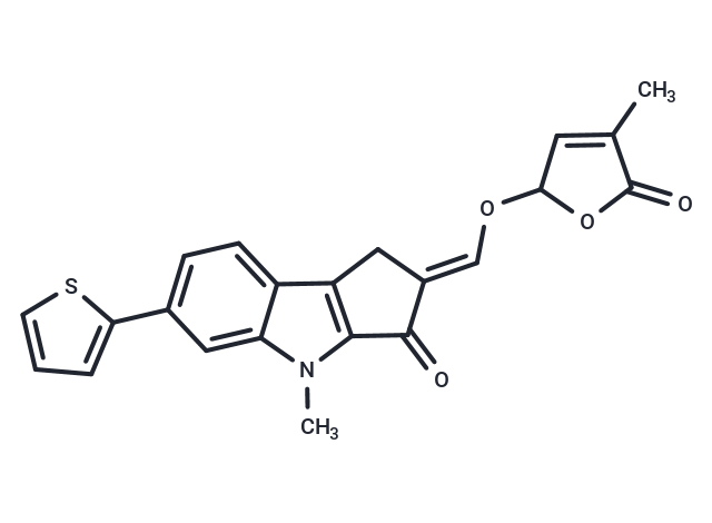 MEB55