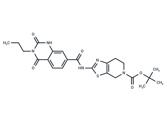 Autogramin-1