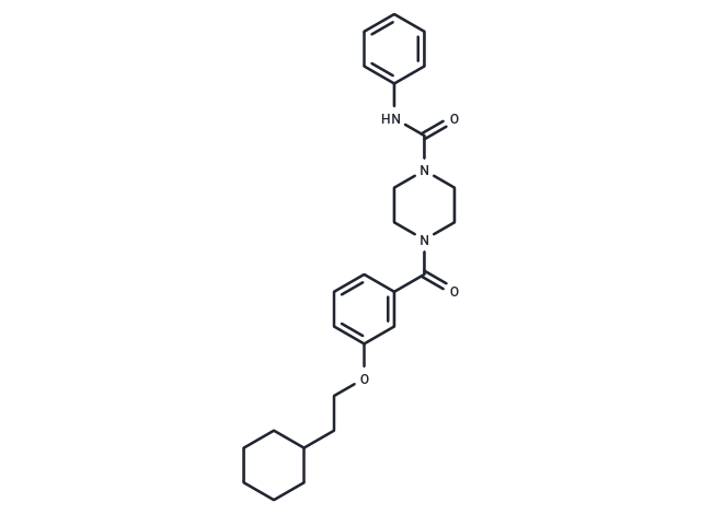 TM2 TEAD inhibitor