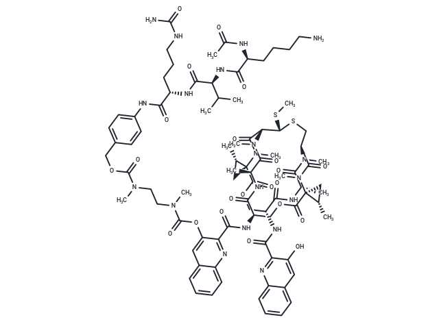 AcLysValCit-PABC-DMAE-SW-163D