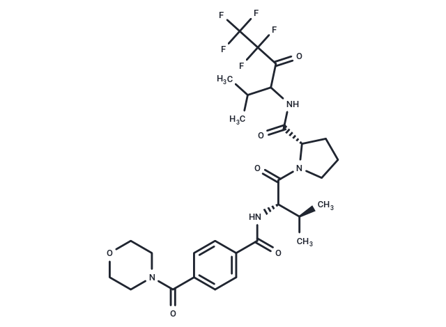 MDL 101146