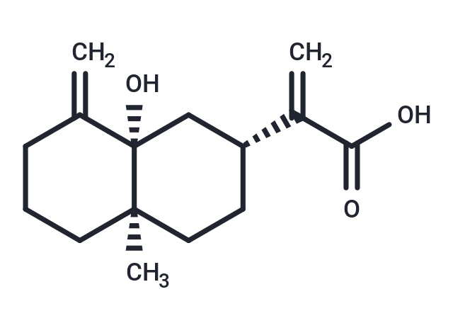 5alpha-Hydroxycostic acid [132185-83-2]